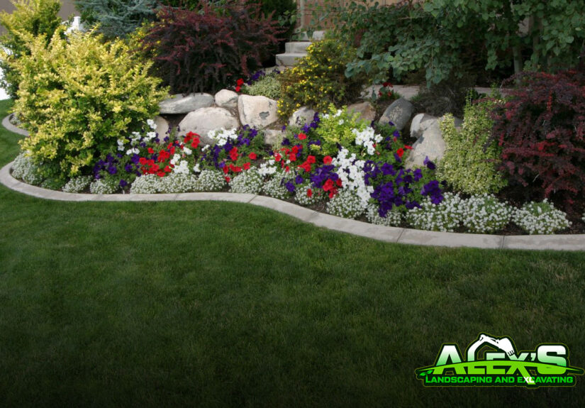 Front Yard Landscaping Ideas